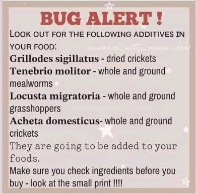 bug alert