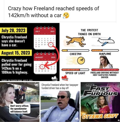 freeland speediong fine