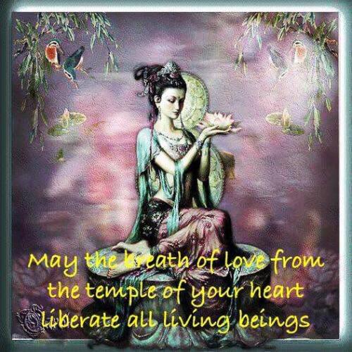 330360920_63414187185