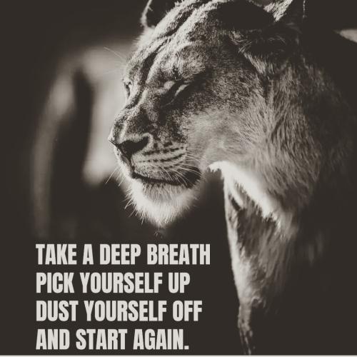 IMG_20230821_050727_777