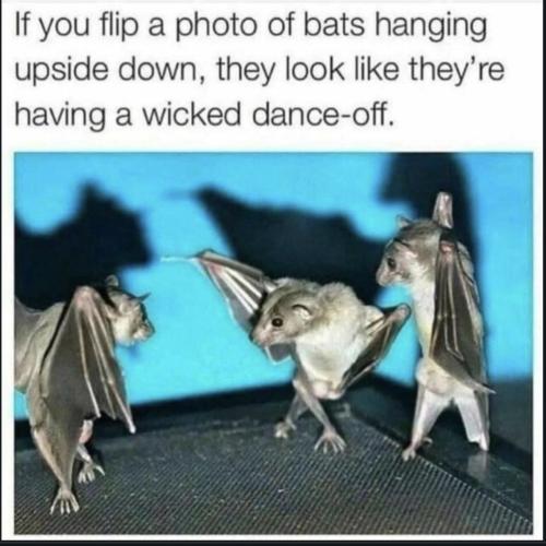 Screenshot_20230725_213938_Chrome