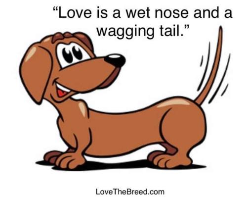 FB_IMG_1691633650924