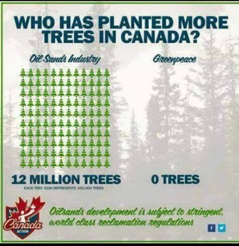 tree planting