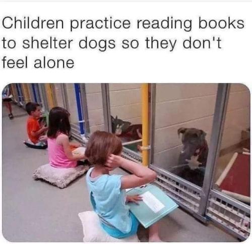 FB_IMG_1693093187069