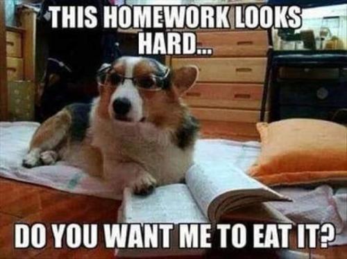 FB_IMG_1692161223579