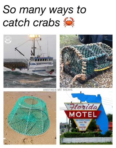 FB_IMG_1690923957746