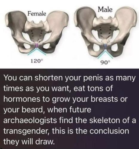 Gender 1