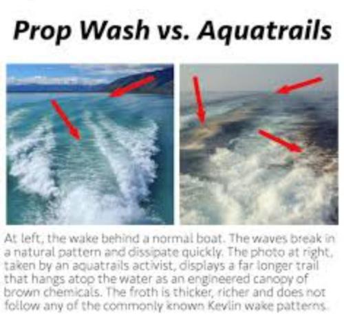 Boat trails they spraying water now💦😱