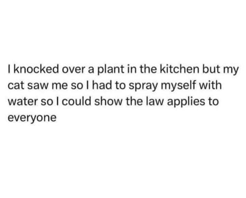 law applies to everyone