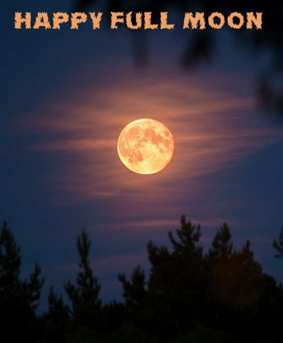 photo_2023-08-01_13-24-21