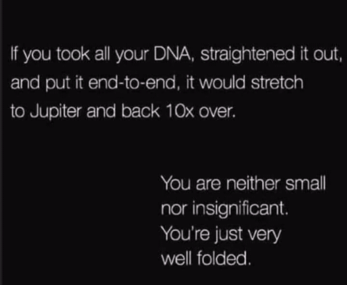 Screenshot_2023-08-13-11-58-47_kindlephoto-101246625