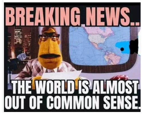 FB_IMG_1691849512517