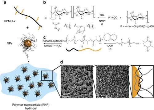 LIPID NANO 41467_2015_Article_BFncomms7295_Fig1_HTML