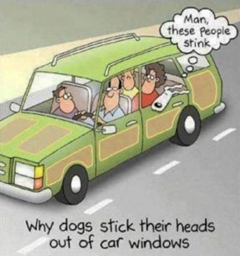 236732288_995505694595618_6919376352536882092_n