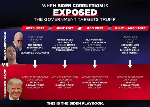 criminal activity109