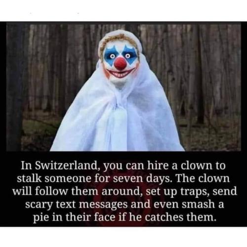 368340331_254715867401432_5886084752542207541_n