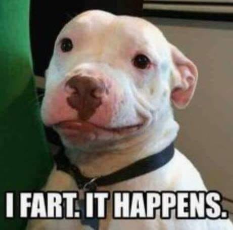 363396944_662895139223354_1220976033581477195_n