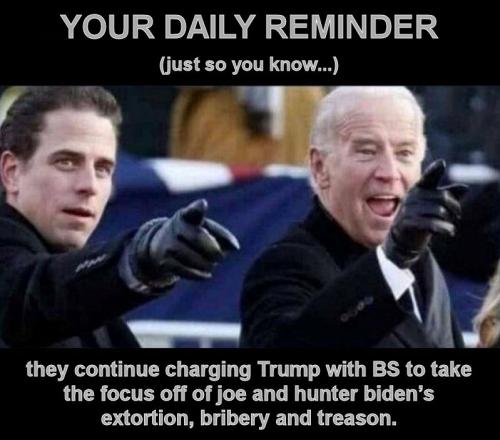 criminal activity124