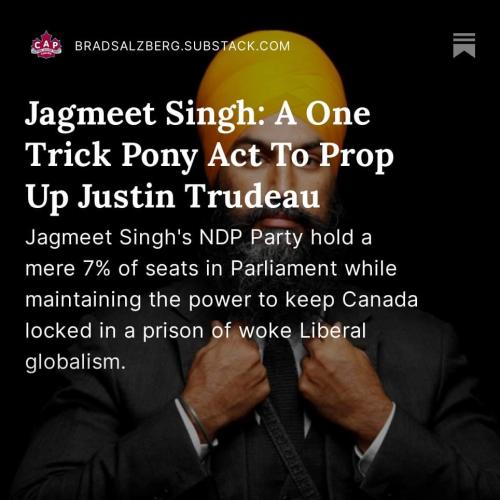 one trick pony