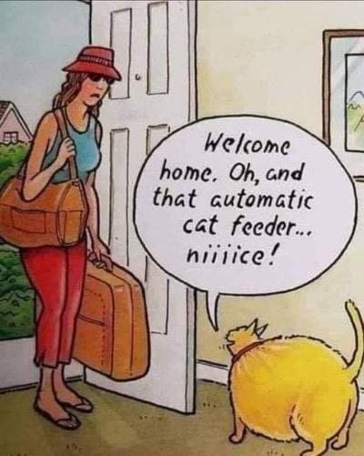 FB_IMG_1693459197508