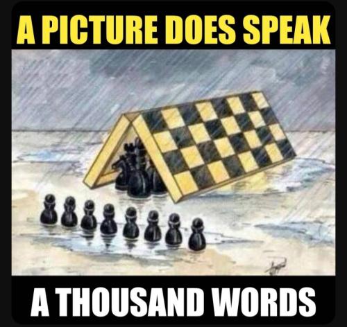 Screenshot_20230820_152120_YouTube