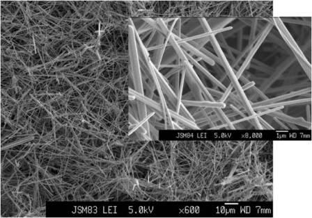 Silver_Nanowires
