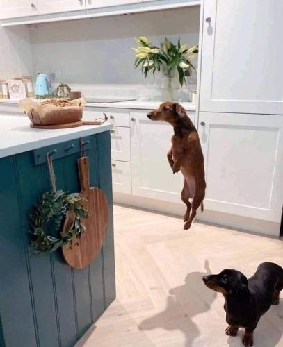 FB_IMG_1691720590991