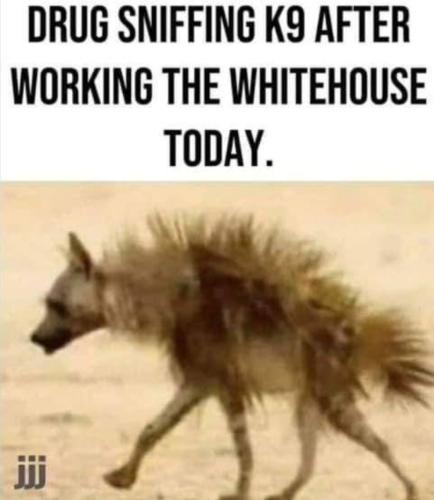 Screenshot_20230825_190112_Facebook