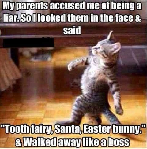 365680630_1737741930035637_2826000724080195244_n