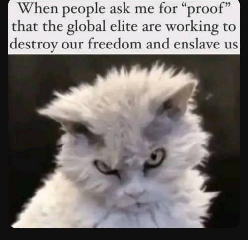 Screenshot_20230820_151231_YouTube