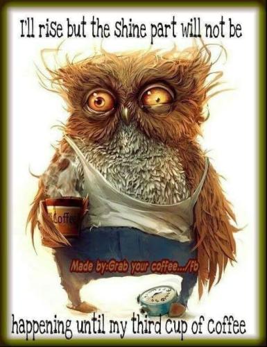 366698060_6969671106390717_8270391780261930253_n