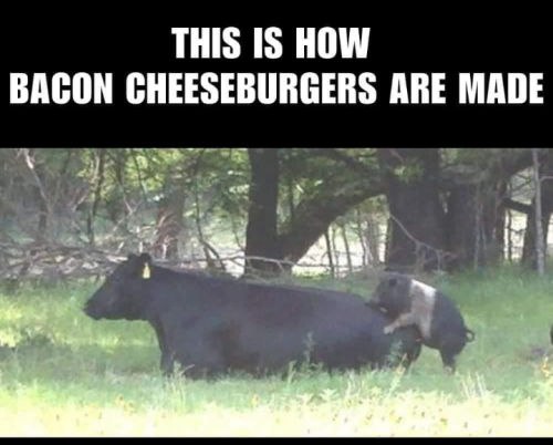 Screenshot_20230803-131553~2