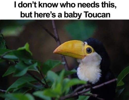 FB_IMG_1692693442091