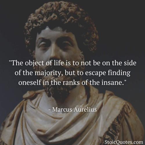 FB_IMG_1691509864729