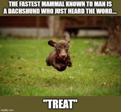 FB_IMG_1692055592468