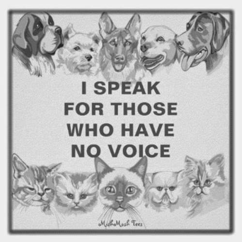 FB_IMG_1692151583630