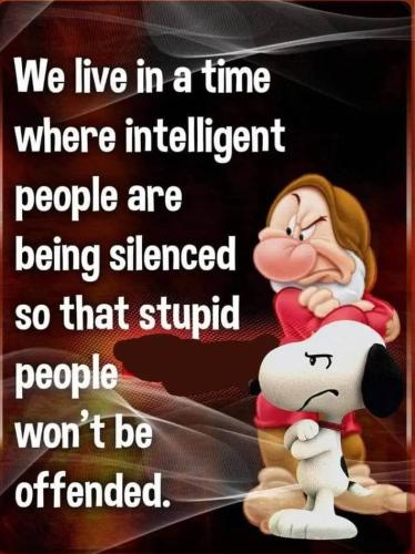 365779961_687509073197072_3727046369762695321_n