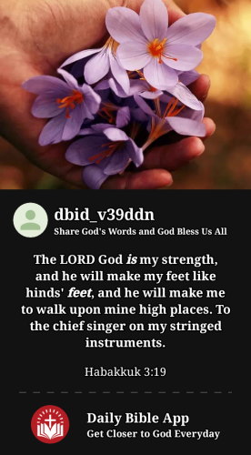 2023-08-061691372491640