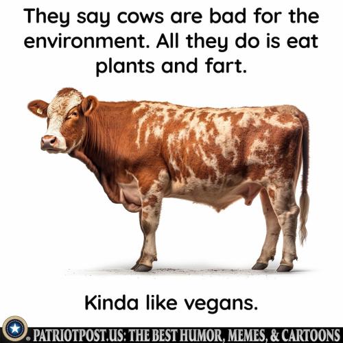 cows are bad