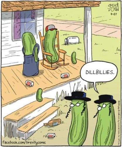 FB_IMG_1692373242319