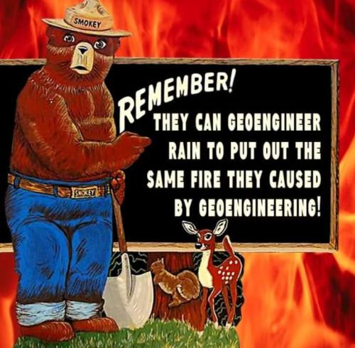 FB_IMG_1692877607852