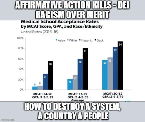 Affirmative Action Kills 1