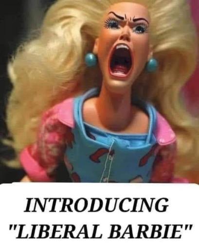 FB_IMG_1691248752553