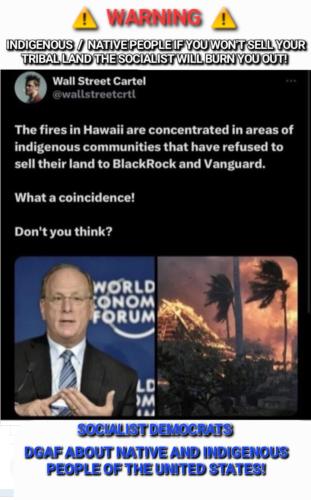 Screenshot_20230816_064641_Wimkin Free Speech Social Media