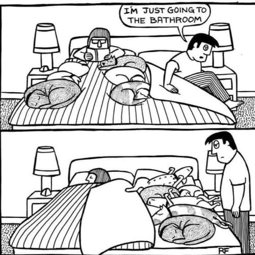 FB_IMG_1691633663528
