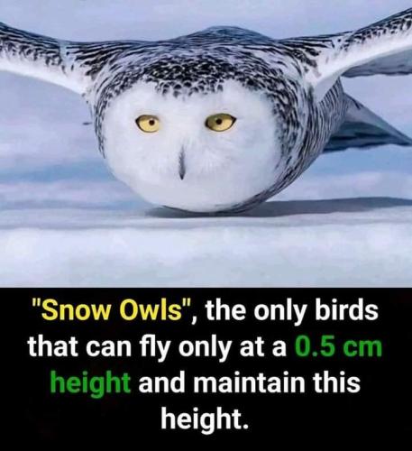 FB_IMG_1692379632837