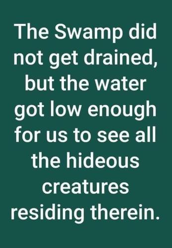 FB_IMG_1691031161907