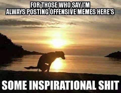 368248149_806797971152520_5415076371803451617_n