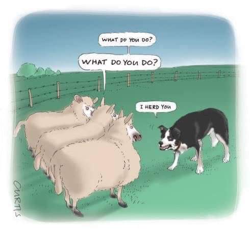 FB_IMG_1692414263630