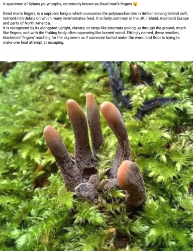 Screenshot_2023-08-21-01-06-49_kindlephoto-2940323